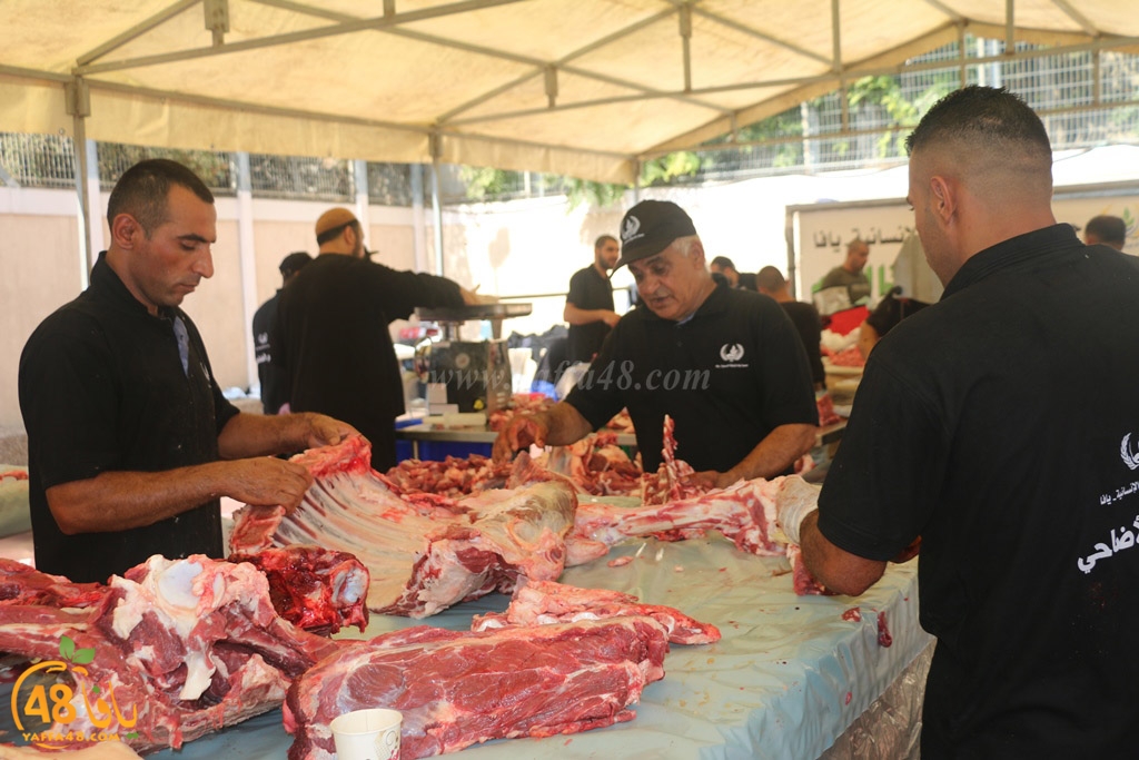 ada7y forthei (41).JPG